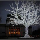 Lichterbaum vor dem Duisburger Stadttheater.