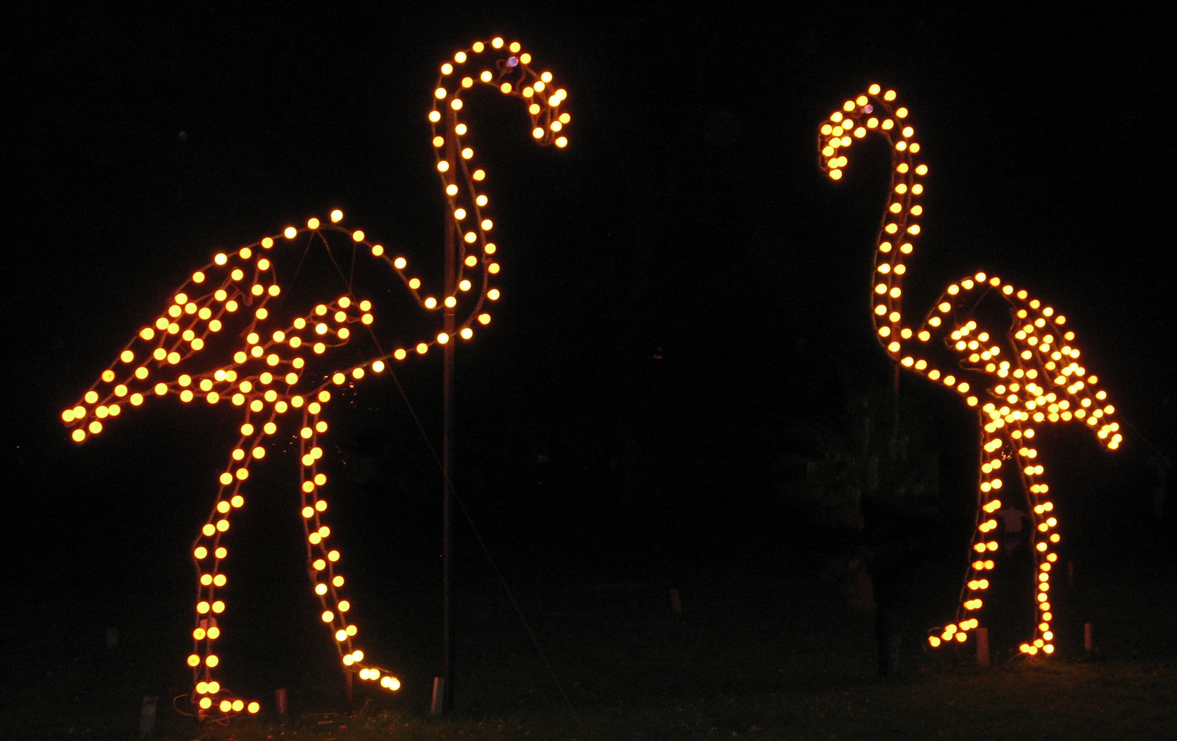 Lichterfest 2011 im Stadtgarten Karlsruhe (2)