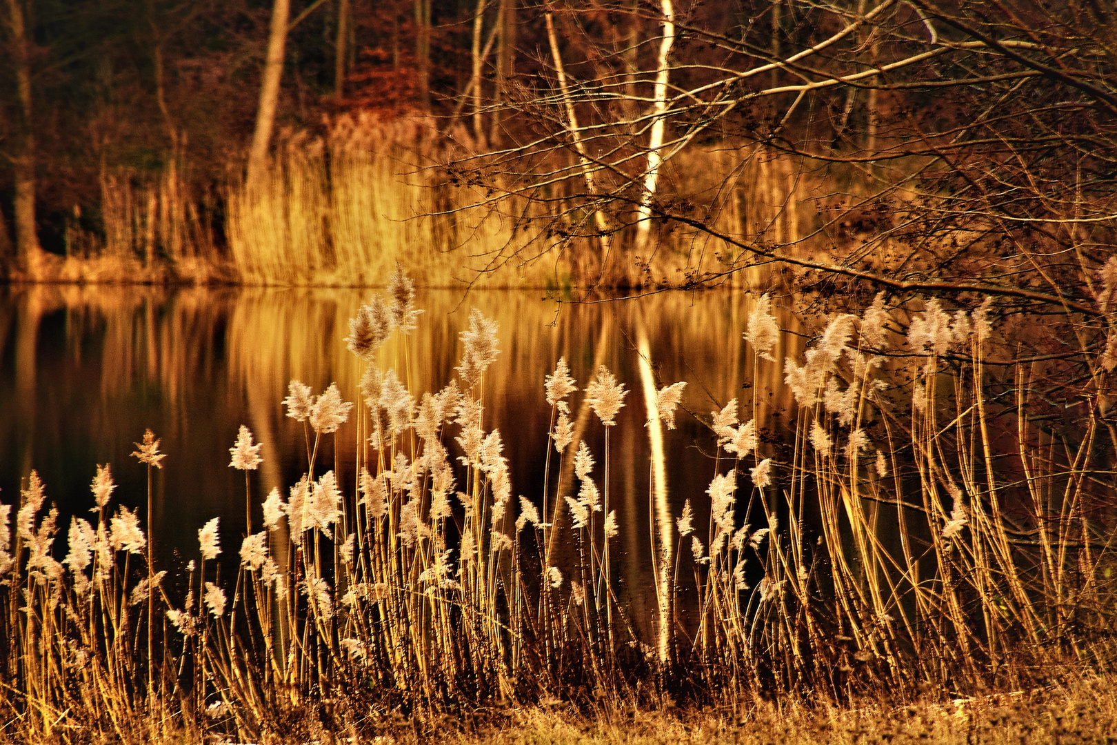 Lichterfest am See .......