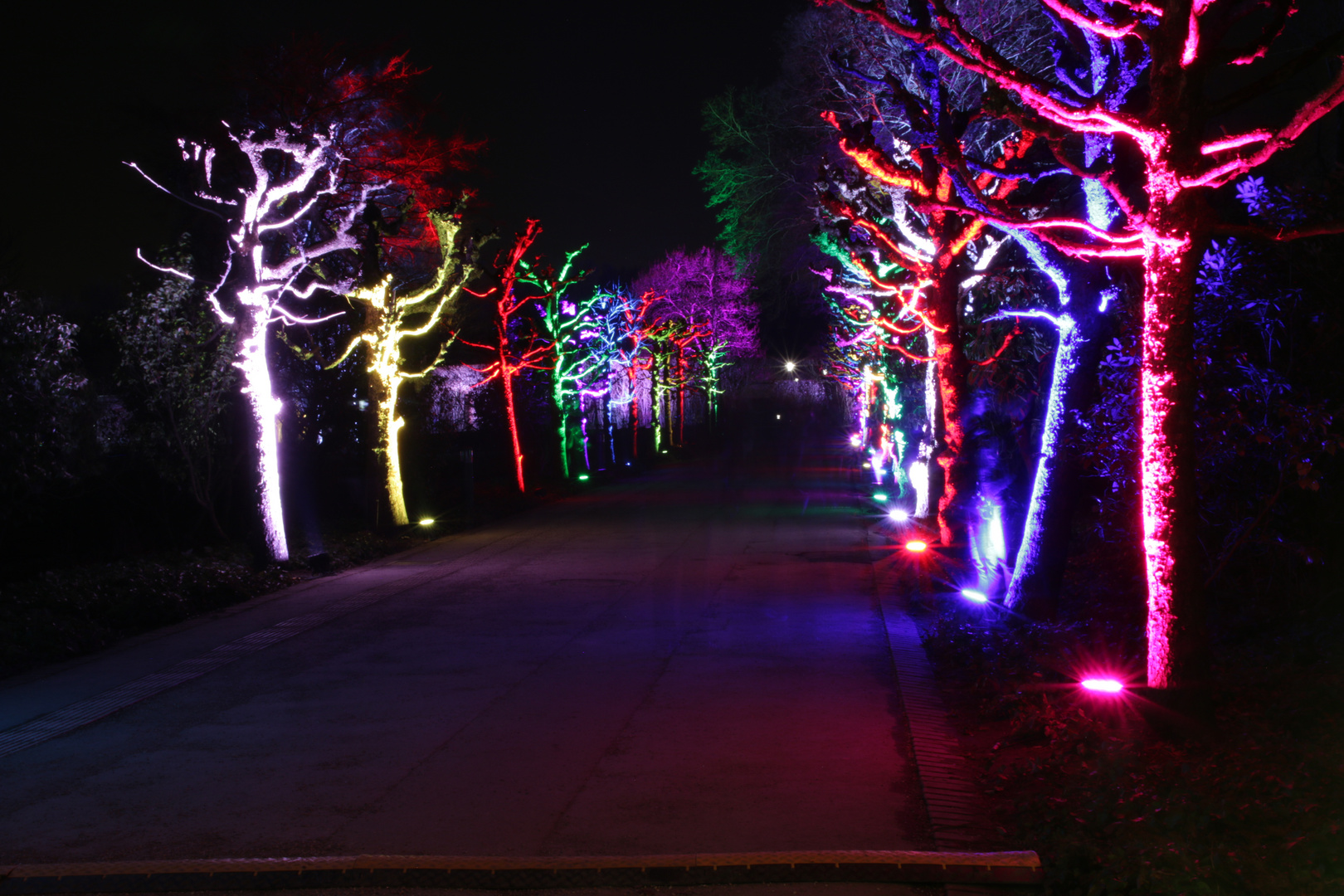 Lichterfest Grugapark Essen