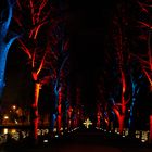 Lichterfest im Westfalenpark 2