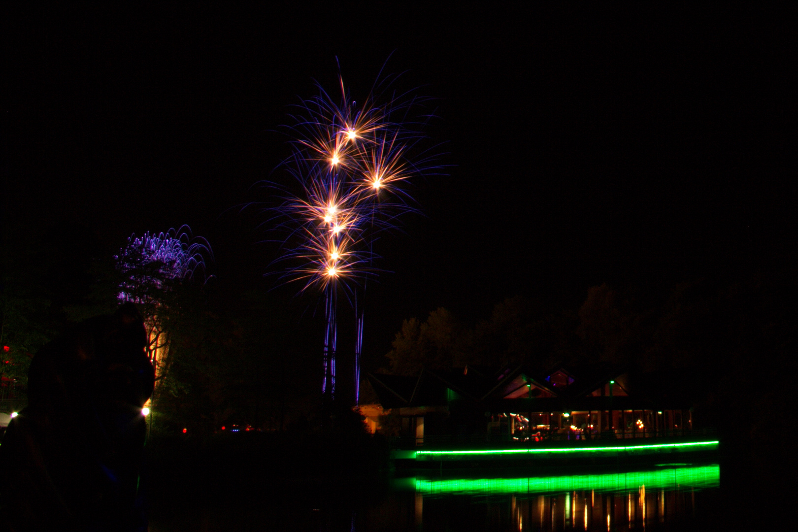 Lichterfest Westfalenpark 2013