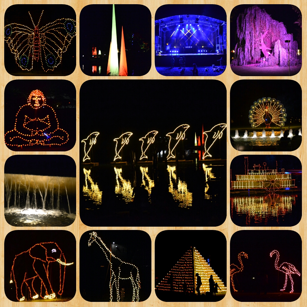 Lichterfest Zoo Karlsruhe 21.8.2015