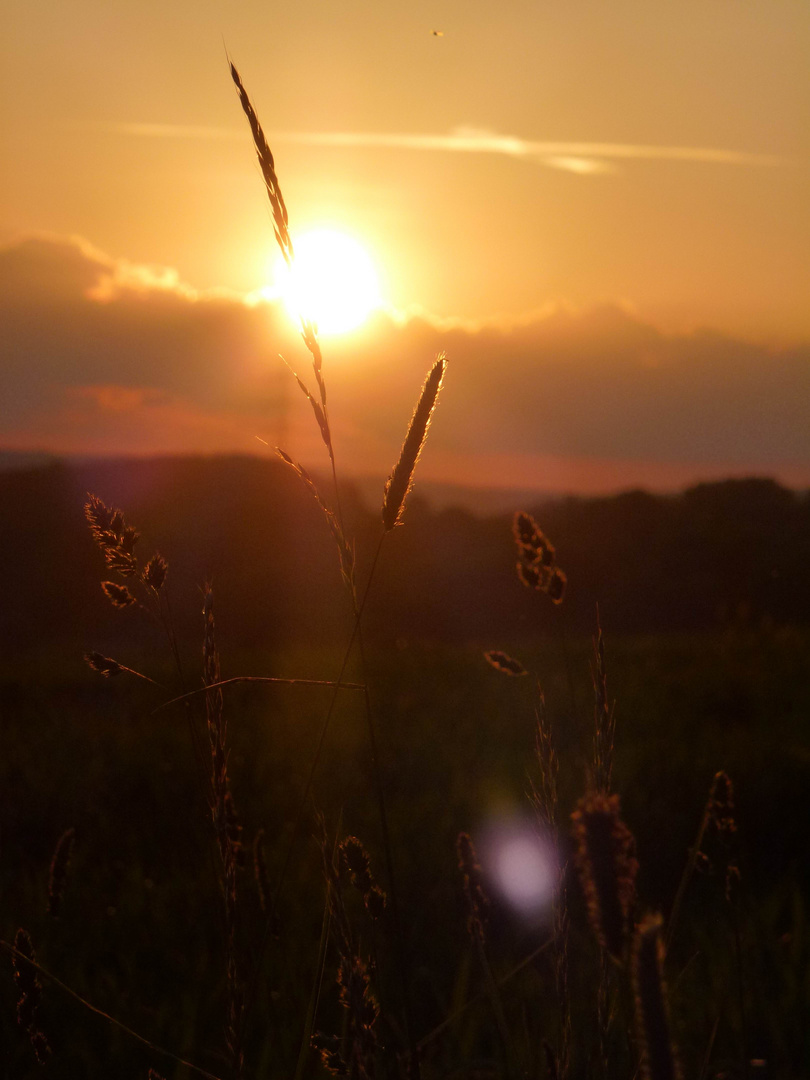 Lichterglanz am Abendhimmel