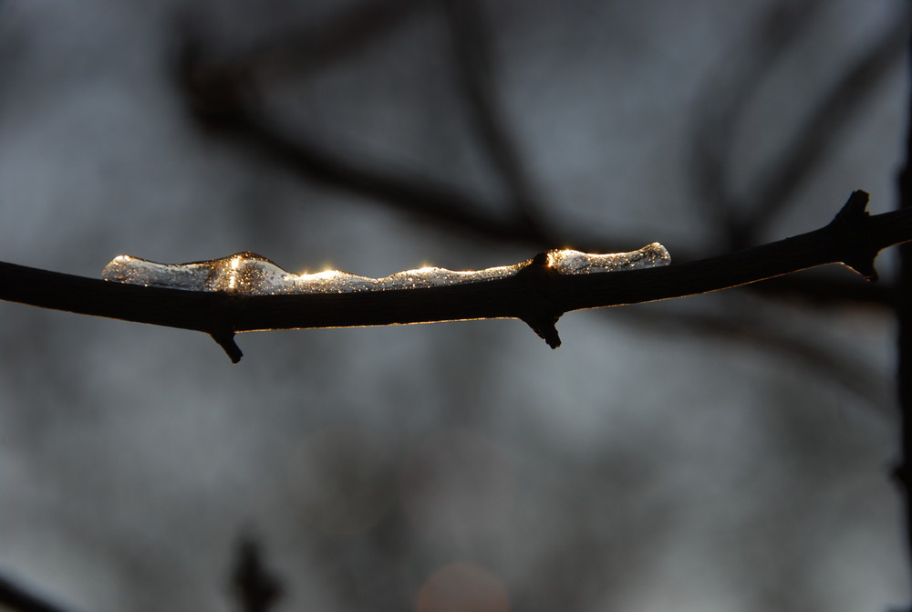 Lichterglanz der Winterzeit (4)