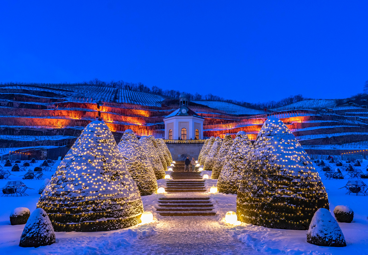 Lichterglanz im Weinberg