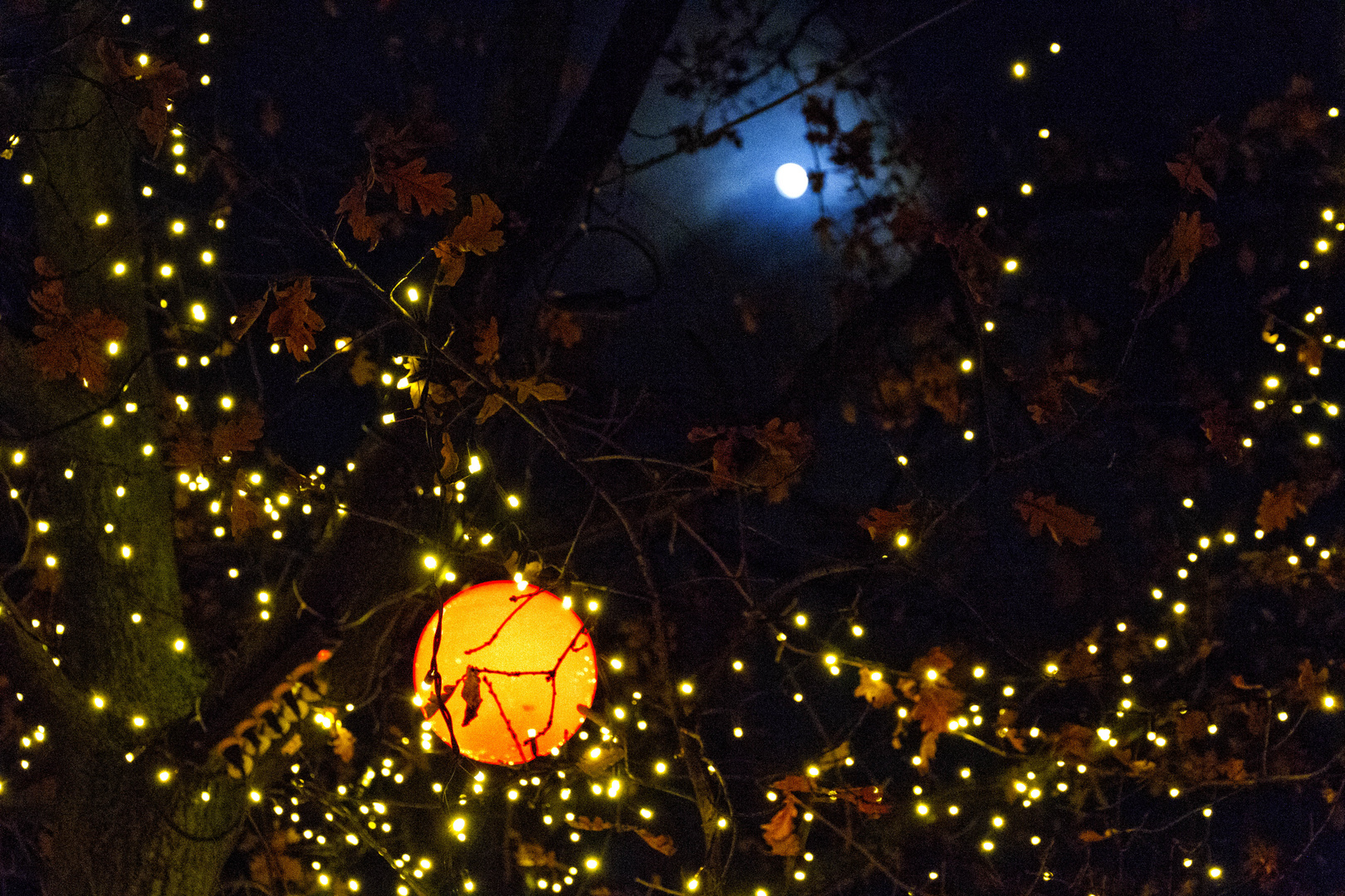 Lichterkette im Mondschein