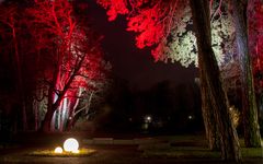 Lichterklänge im Klanggarten des Bad Mergentheimer Kurparks