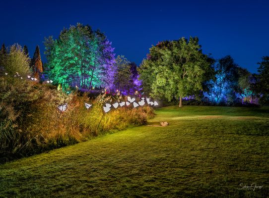 Lichterloh und farbenfroh