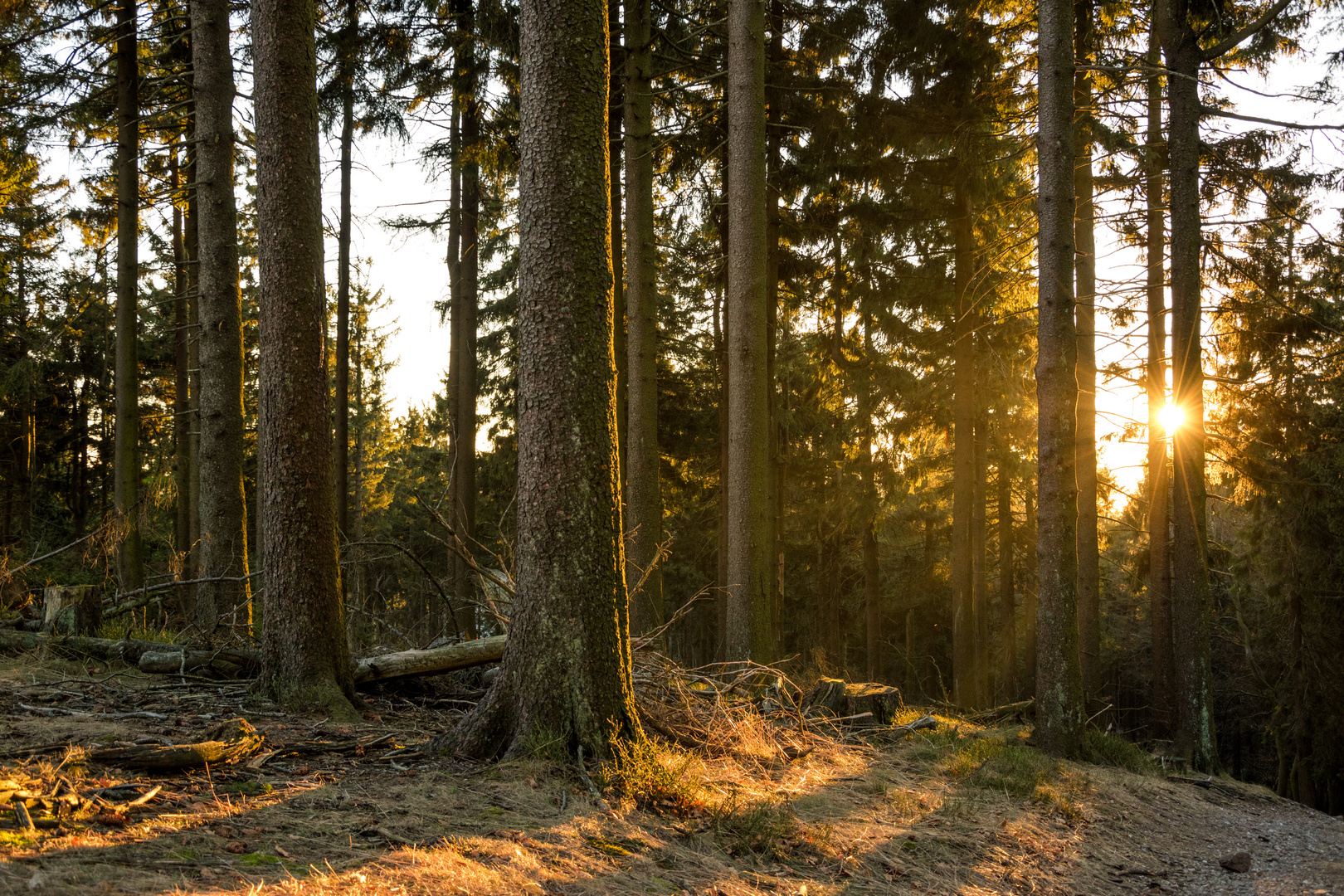 Lichtermeer auf dem Feldberg