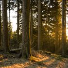 Lichtermeer auf dem Feldberg