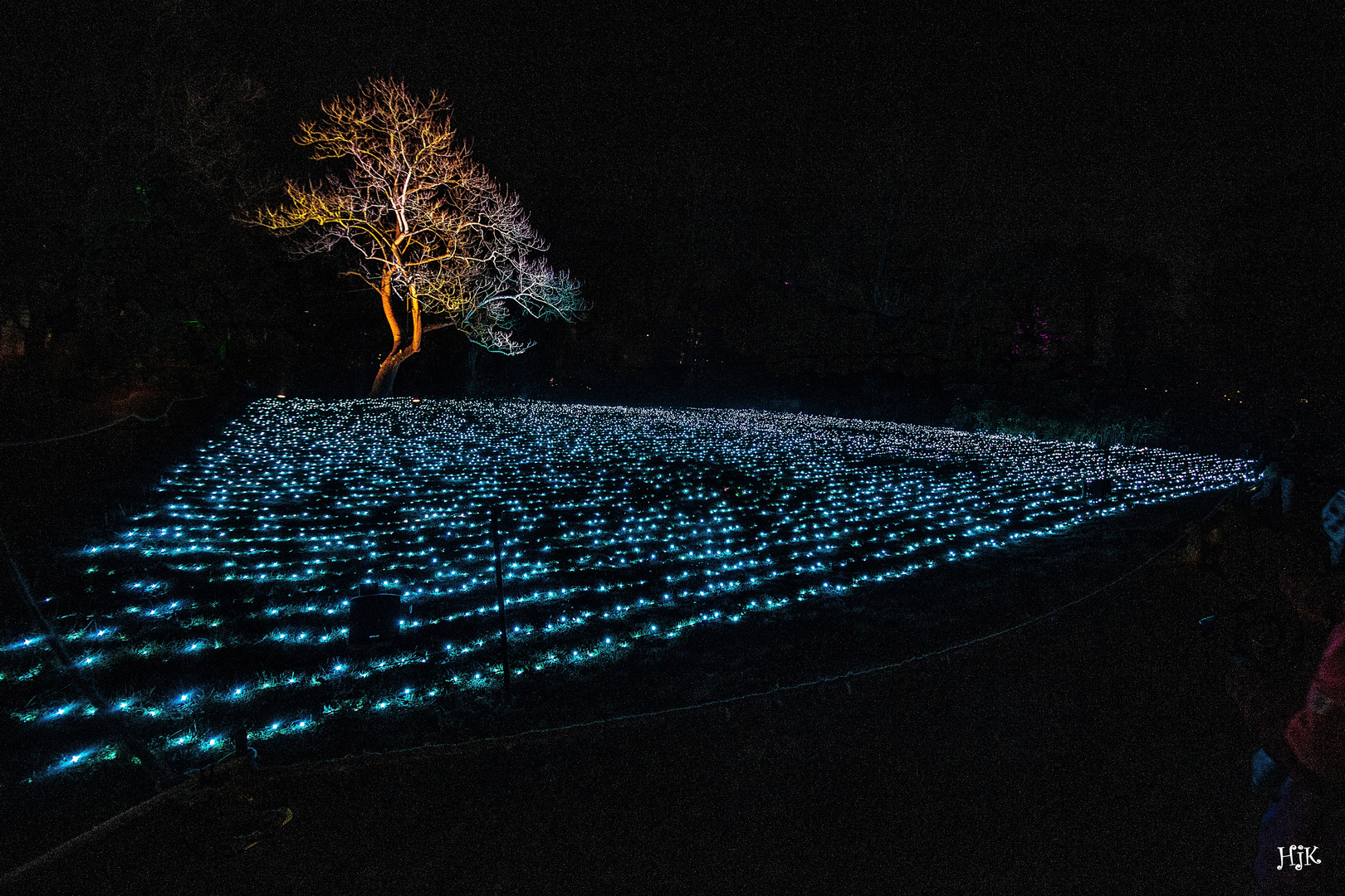 Lichtermeer hellblau