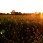 Lichtermeer im Sonnenuntergang