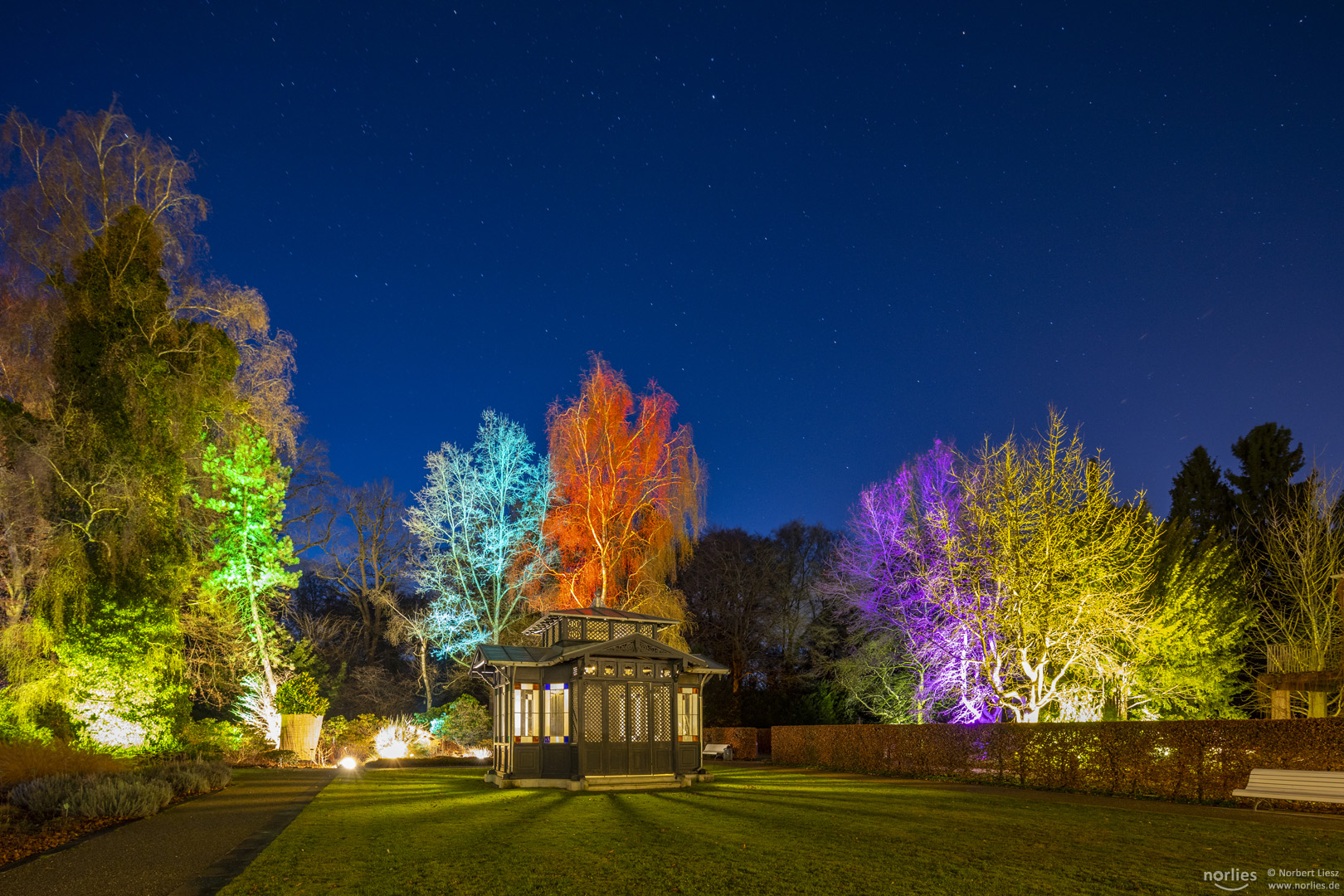 Lichterschauspiel im Garten