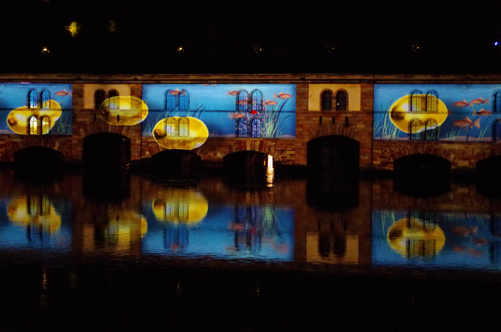 Lichtershow in Straßburg IV