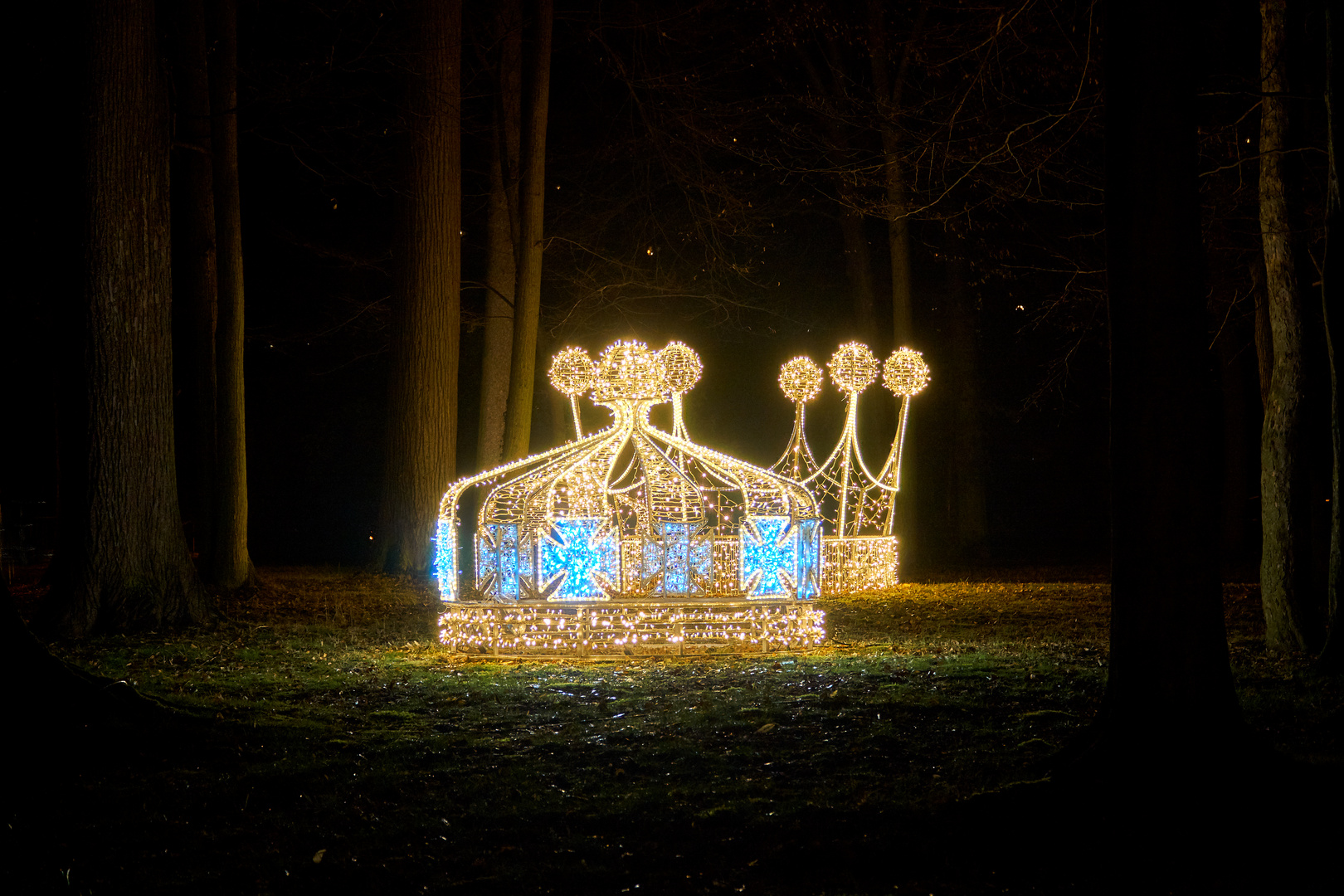 Lichtershow, Pillnitz, Christmas Garden