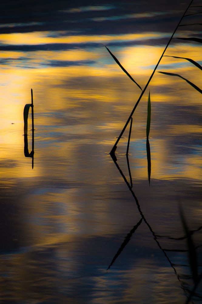 Lichterspiel am See