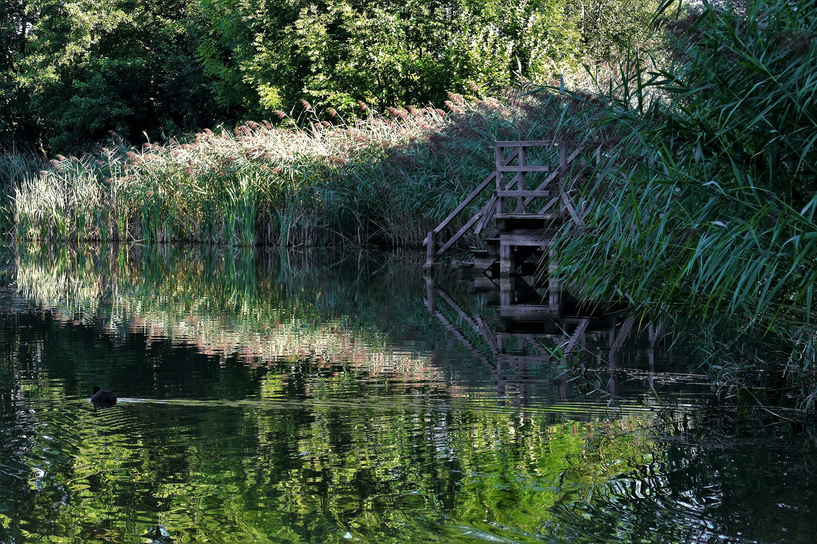 Lichterspiel am See