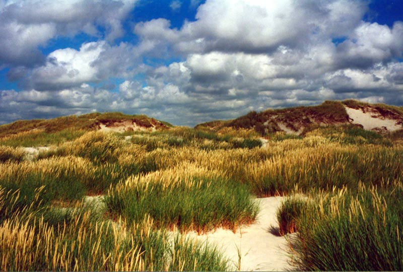 Lichterspiel an der Nordsee