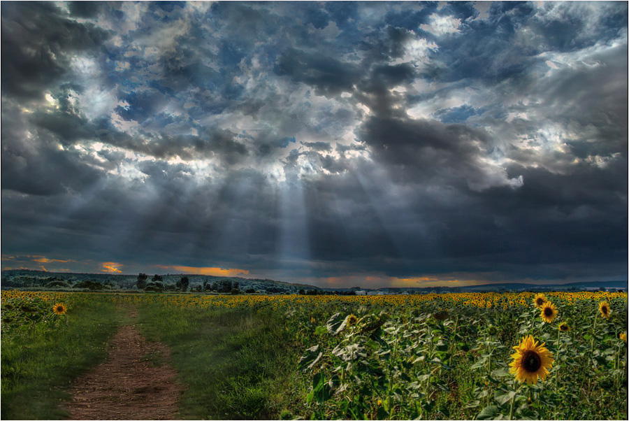 Lichterspiele in den Wolken - Reloaded