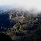 Lichterstimmung im Bergwald