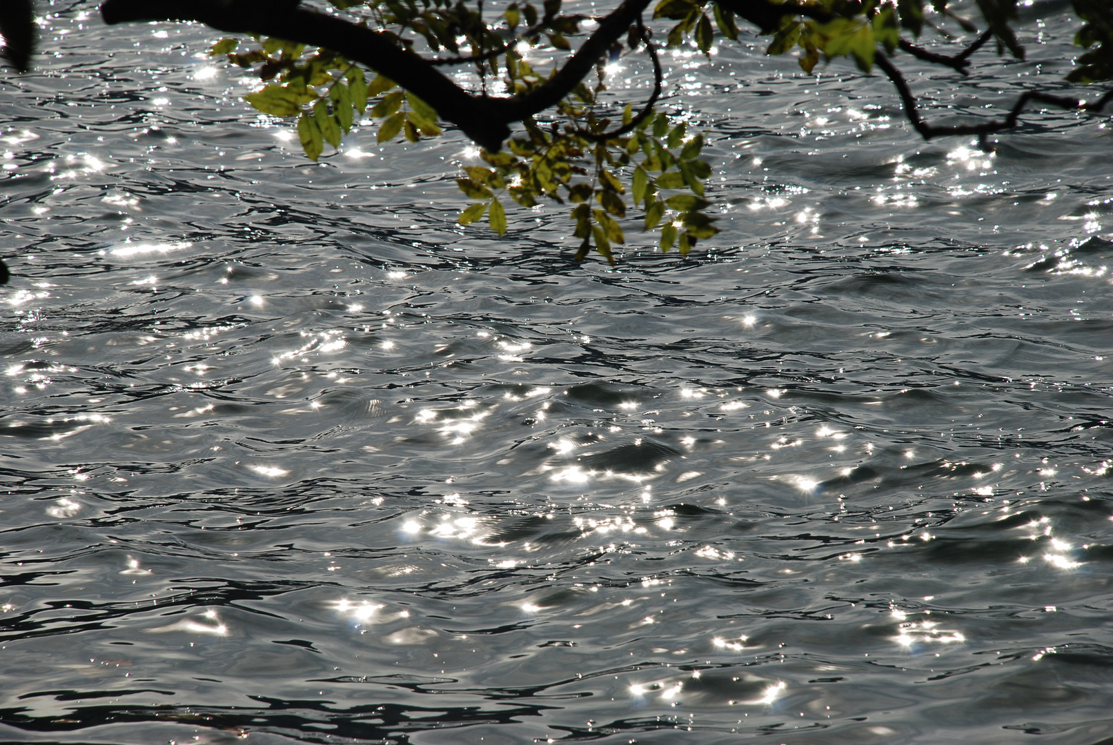 Lichtertanz auf Wasserwellen