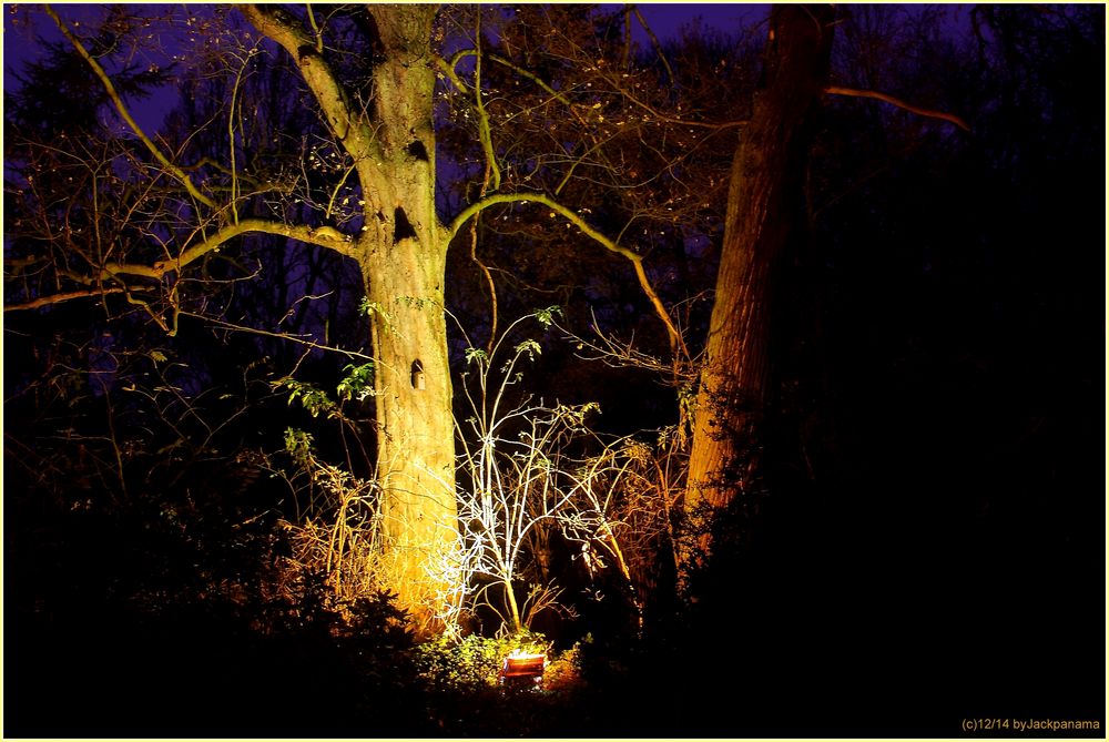 "Lichterwald" rund um das Schloss Herten als Einstimmung auf Weihnachten