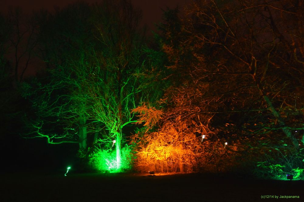 "Lichterwald" rund um das Schloss Herten als Einstimmung auf Weihnachten