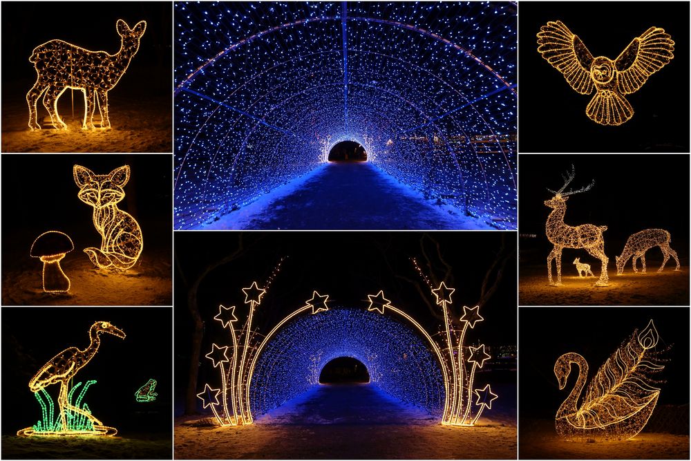 Lichterwelt im Sonnenlandpark... (2)