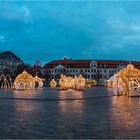 Lichterwelten Domplatz Magdeburg