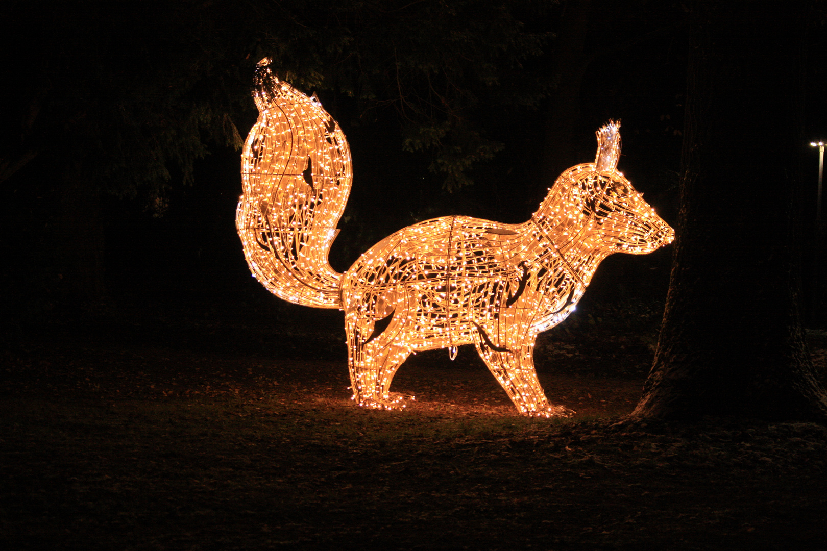 Lichterzauber Hann. Münden