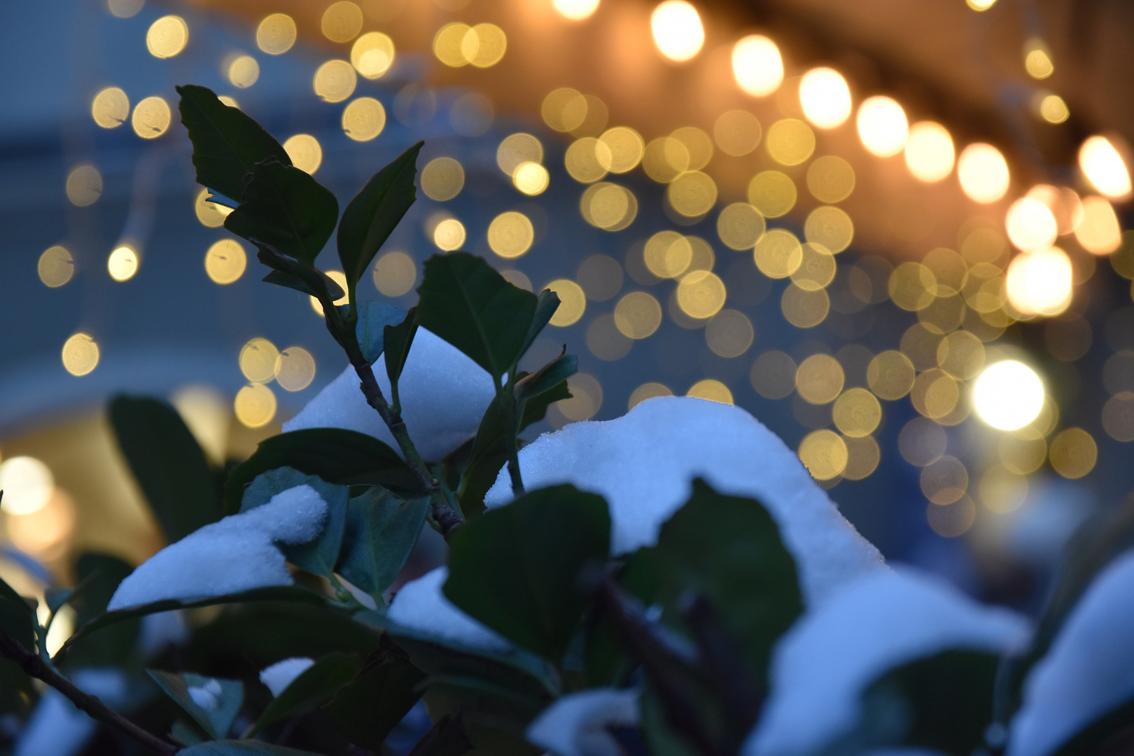 Lichterzauber im Advent