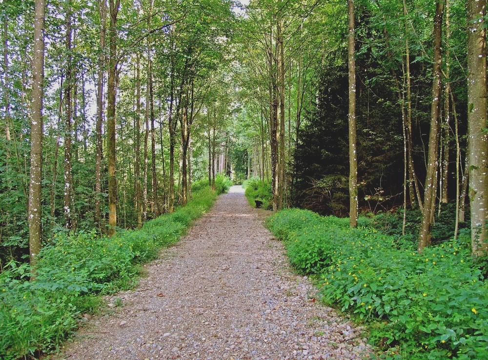 Lichtes Grün