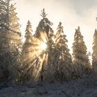 Lichtexplosion kurz vor Sonnenuntergang