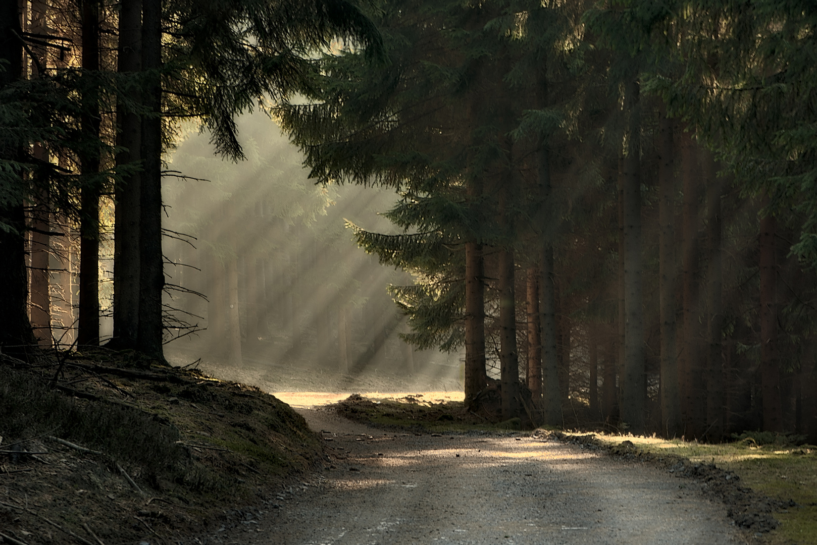 Lichtfänger