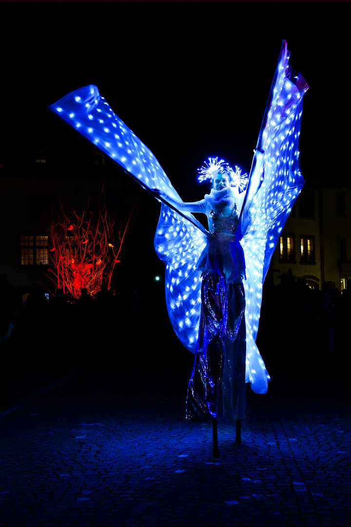 Lichtfestival in Murten - Lichtgestalt