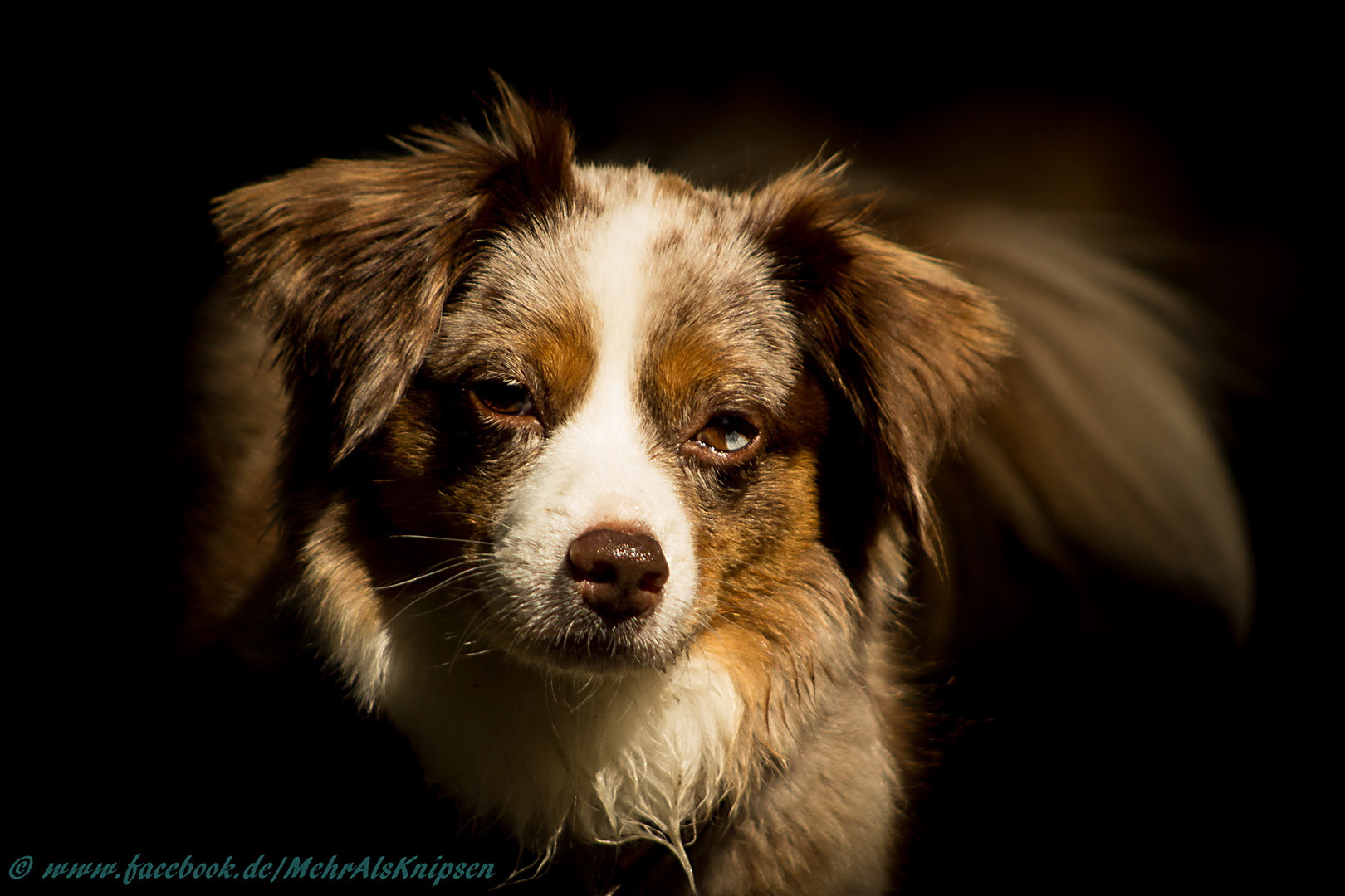 Lichtfleck mit Trudi ;-)