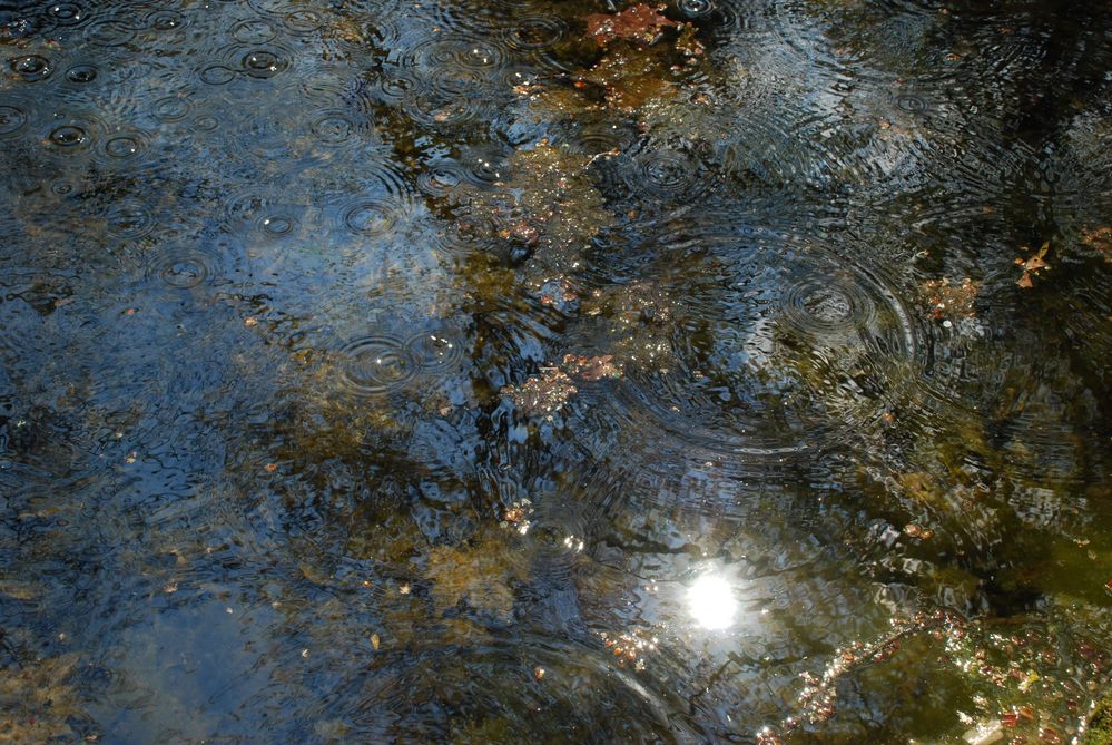 Lichtfunken auf trübem Teich