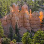 Lichtgefängnis im Bryce Canyon