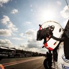 Lichtgestalt - FIA GT3 Champion Christopher Haase