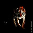 Lichtgestalt Tiger