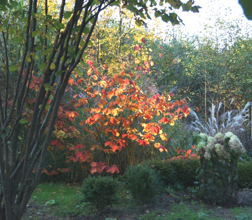 Lichtinsel im Schatten