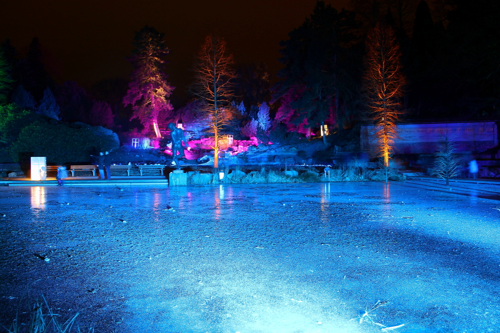 Lichtinstallation im Gruga Park