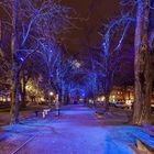 Lichtinstallation im Kunstareal München