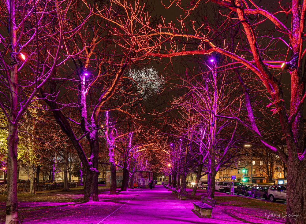 Lichtinstallation im Kunstareal München