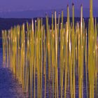 Lichtinstallation im See am Abend