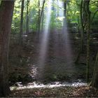 Lichtkegel im herbstlichen Kissinger Wald