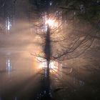 Lichtkonzert am Weiher