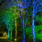 Licht_Kunst City Nord - Allianz Bäume