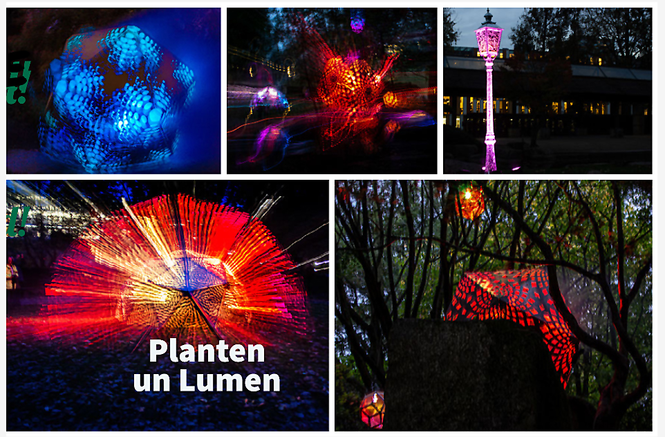 Lichtkunst im "Japanischen Garten" ...